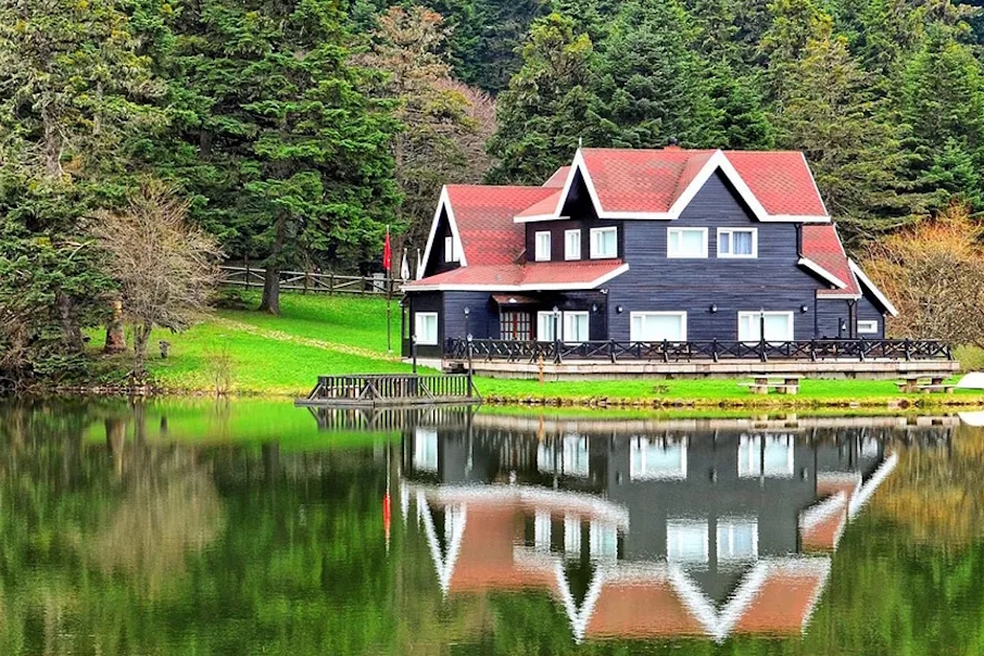 Bolu Firma Rehberi Görsel