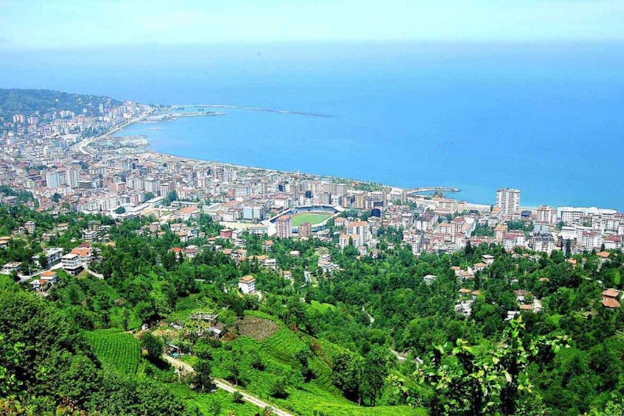 Rize Firma Rehberi Görsel